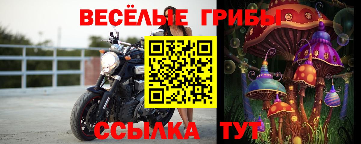 МАРИХУАНА Донской